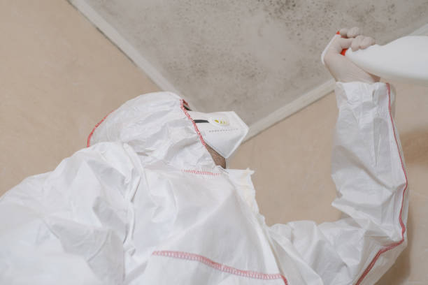 Mold Remediation for Vacation Homes in Bridgeport, NY